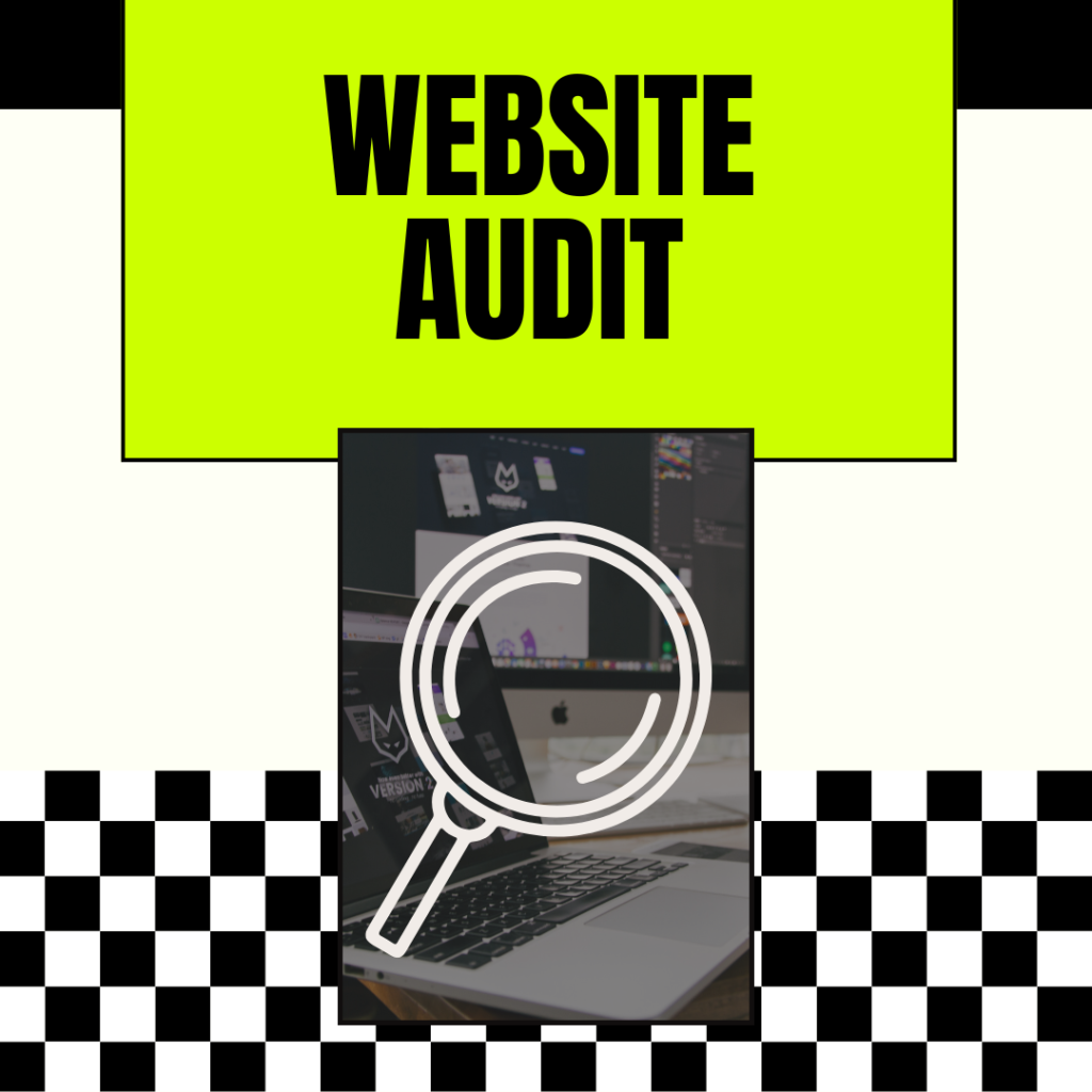 Website Audit
